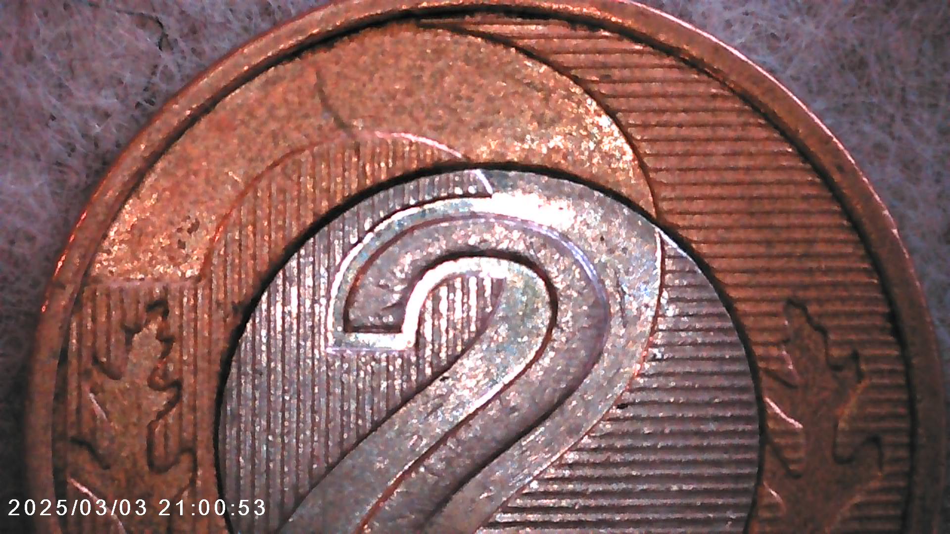 IMG01616